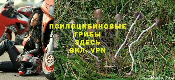прущие крисы Армянск