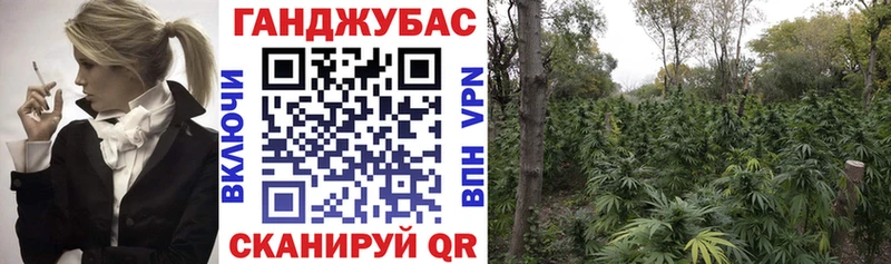 Каннабис гибрид  наркотики  площадка наркотические препараты  Ряжск  гидра рабочий сайт 